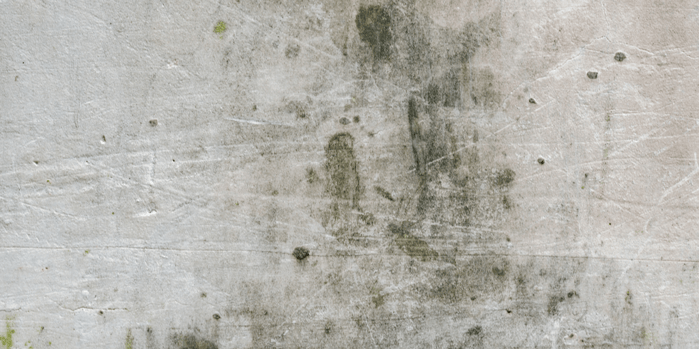 Blog - Mould.png